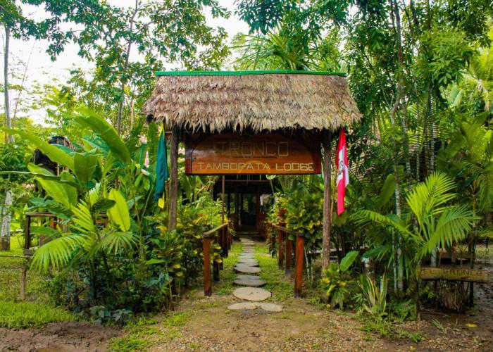 Tronco Tambopata Adventure