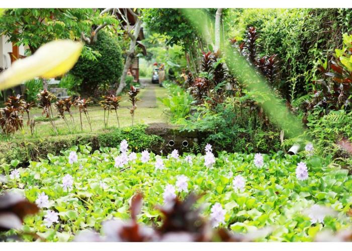 Gongwi Cottages Sidemen