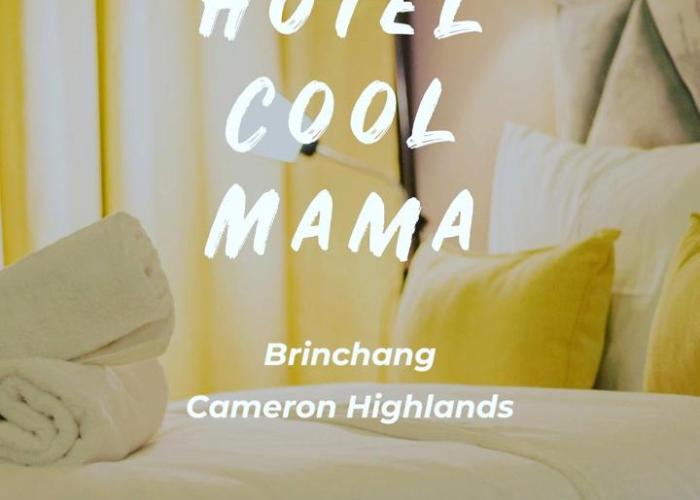 Hotel COOL MAMA