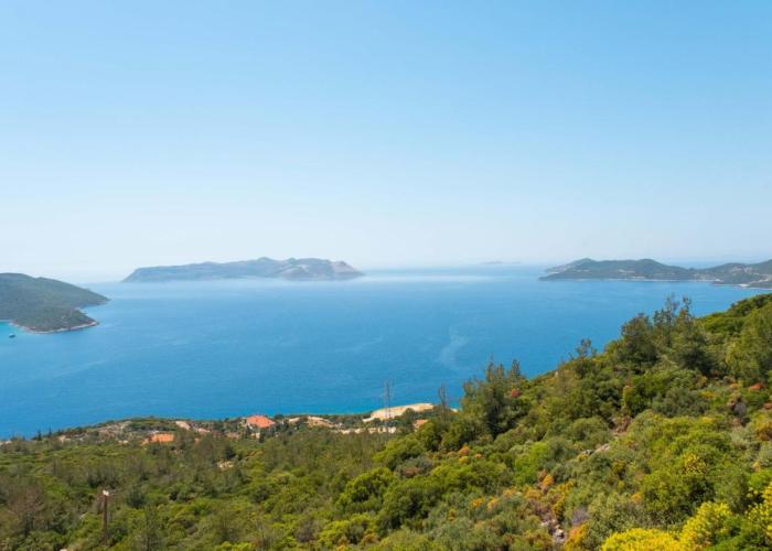 Golden Rose Otelcilik