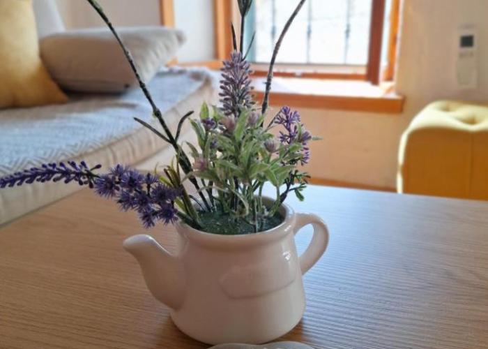 Apartment Kaleta