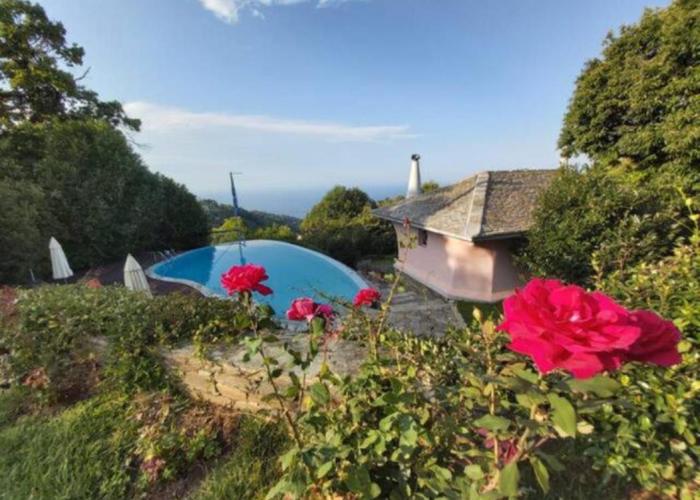 Tsagkarada Country Estate with Pool