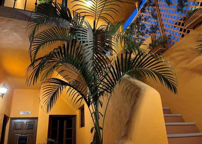Villa La Sirena