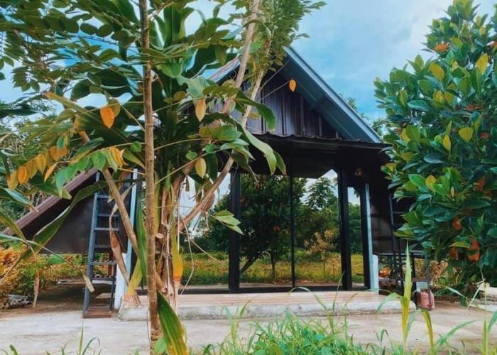 Lorenzo's Farm and Leisure