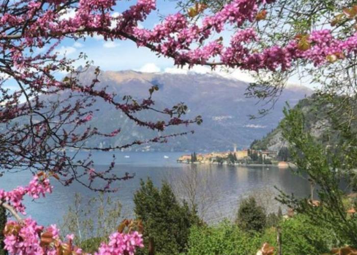 La punta di Varenna