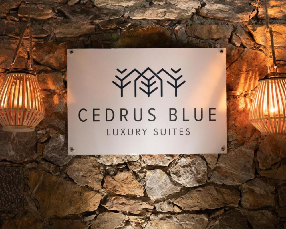 фото Cedrus Blue