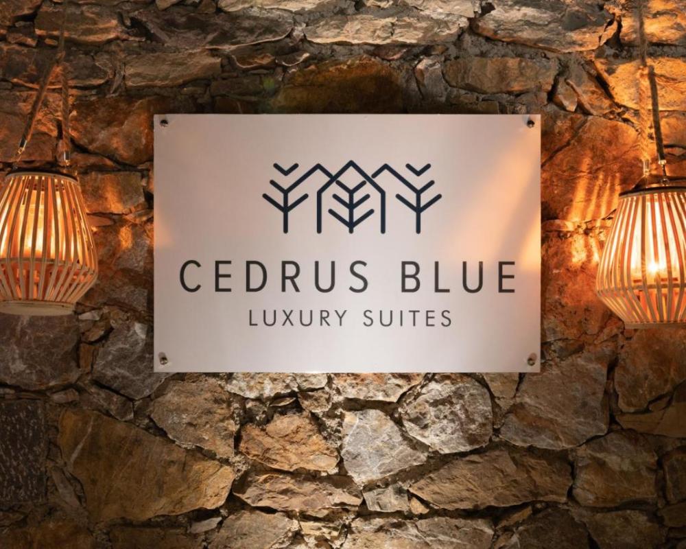 фото Cedrus Blue