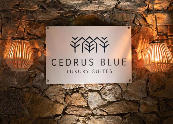 Cedrus Blue