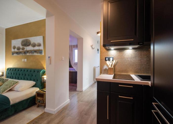 Wellness Studio D'Or - Exclusive NEW apartment With whirlpool, sauna, sunny terrace, private parking