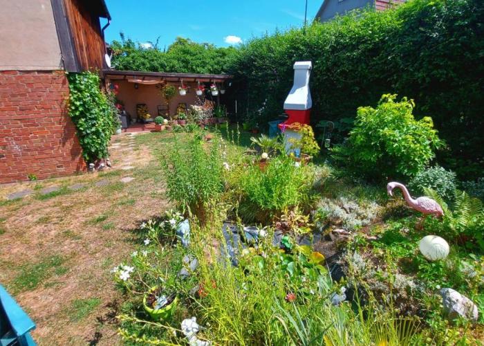 Rummy's Ferienwohnung mit Garten