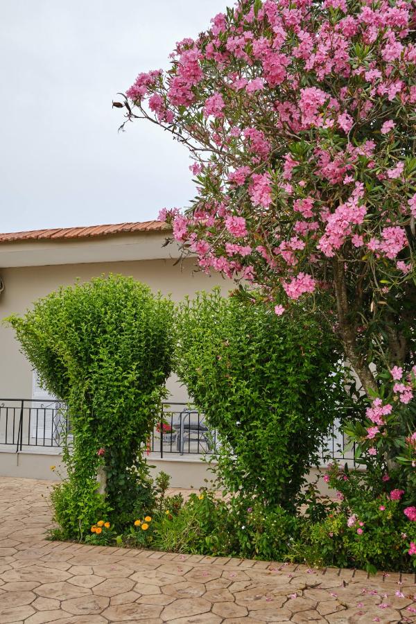 фото Villa Agathi
