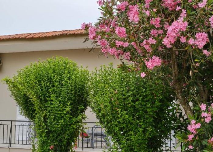 Villa Agathi