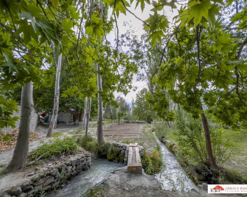 фото Ehsan-e-Bassi