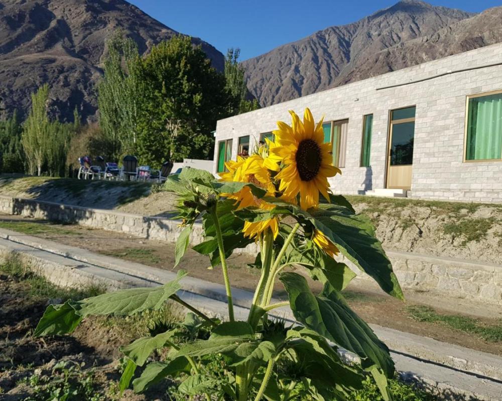 фото Ehsan-e-Bassi