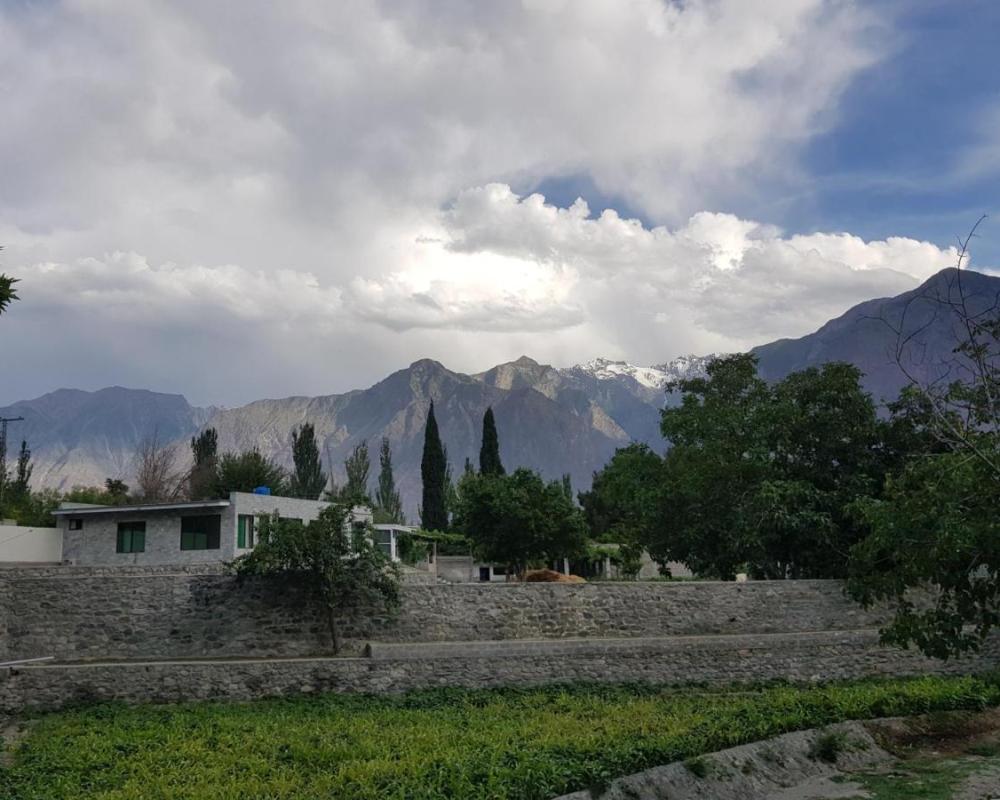 фото Ehsan-e-Bassi
