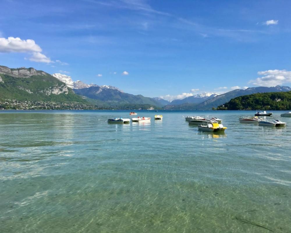 фото Best Western Plus Hotel Carlton