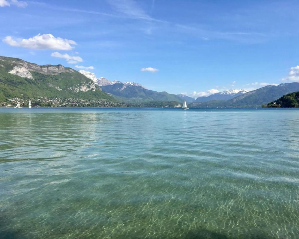 фото Best Western Plus Hotel Carlton