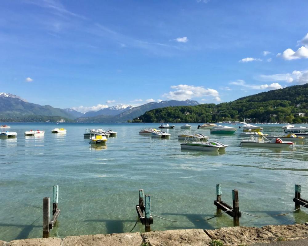 фото Best Western Plus Hotel Carlton