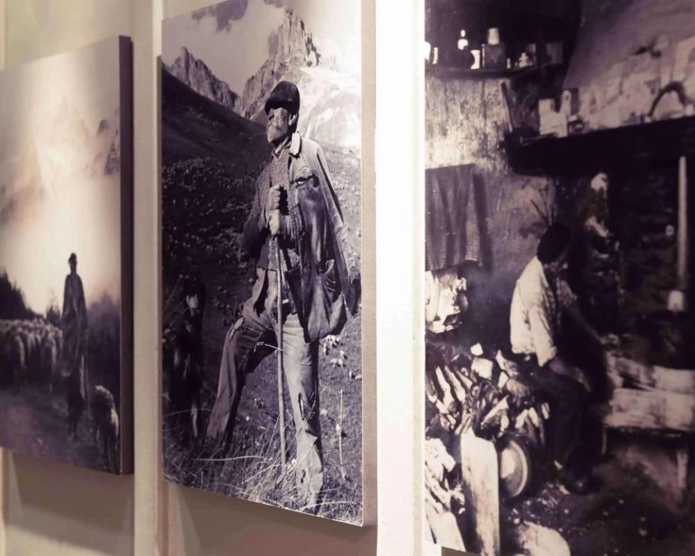 фото Mercure Annecy Centre