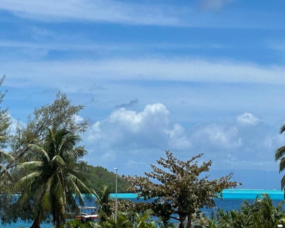 фото Mo'a Villa