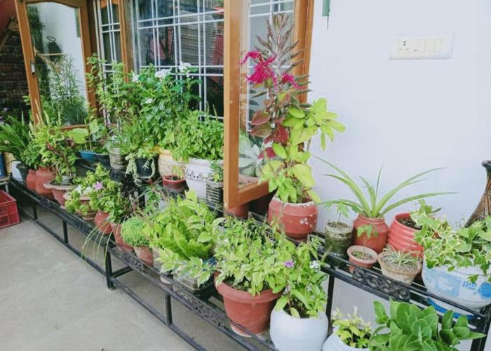 Stunning 2-Bed Apartment in Solan HP