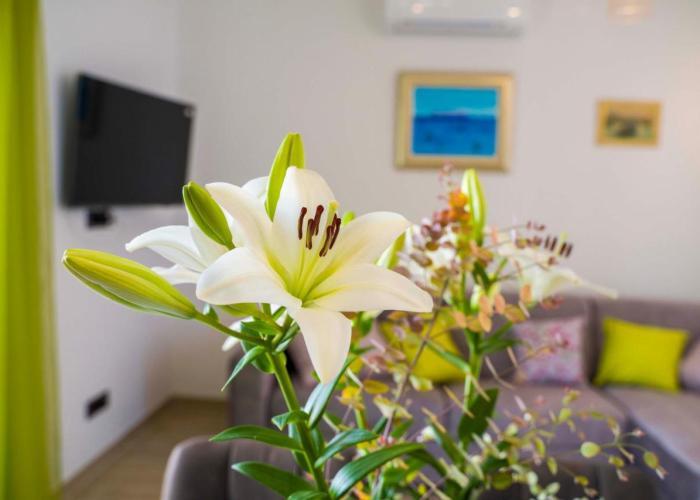 Apartment Ve & Ki
