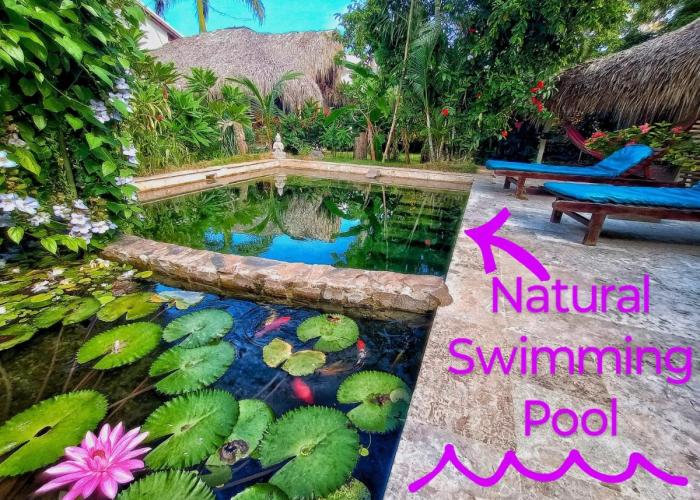 Dream Glamping Jungle Bohio