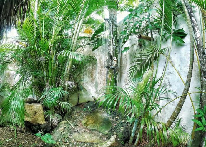 Dream Glamping Jungle Bohio