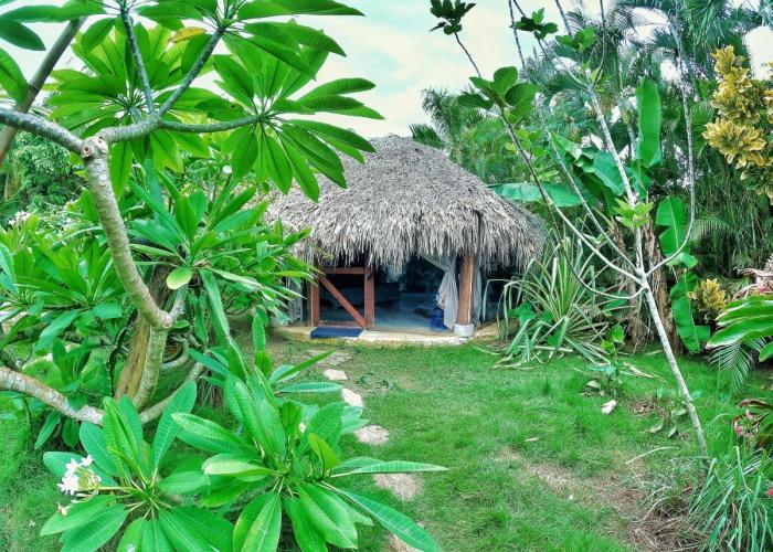 Dream Glamping Jungle Bohio