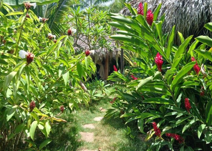 Dream Glamping Jungle Bohio