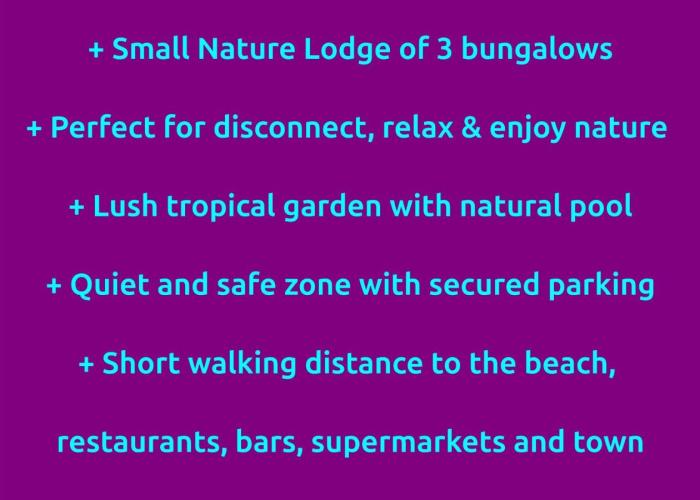 Dream Glamping Jungle Bohio
