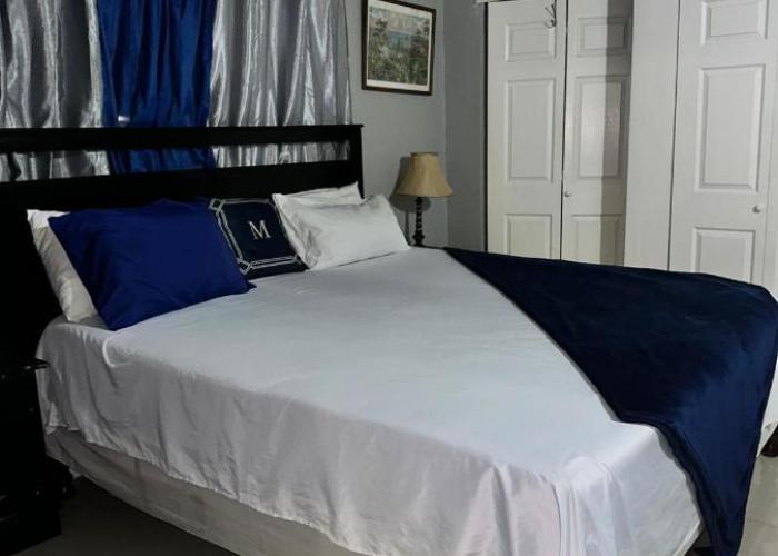 Deluxe Presidential suite