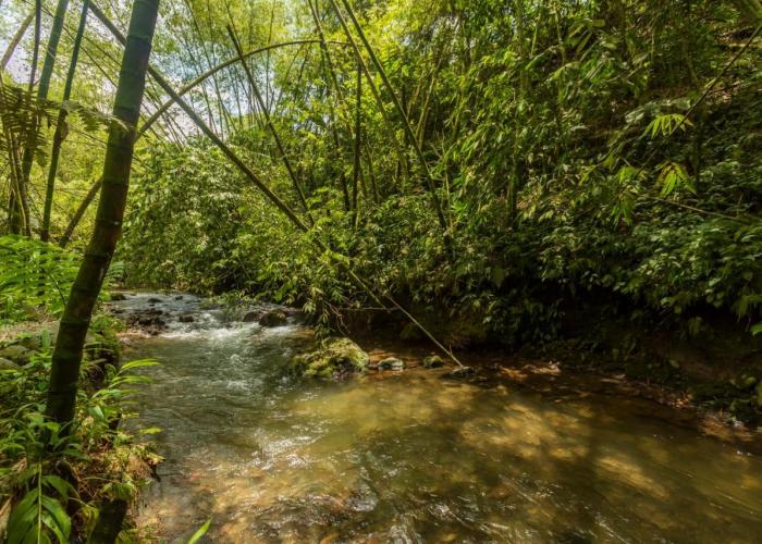 Alojamiento Rural Finca El Rubi