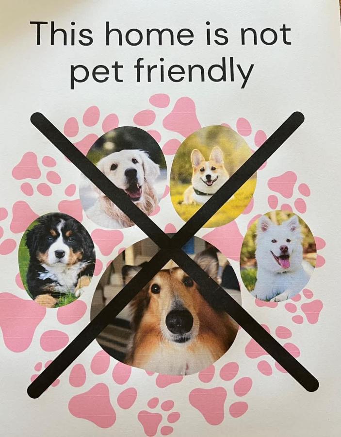фото LONGUSTINE - Pet Friendly