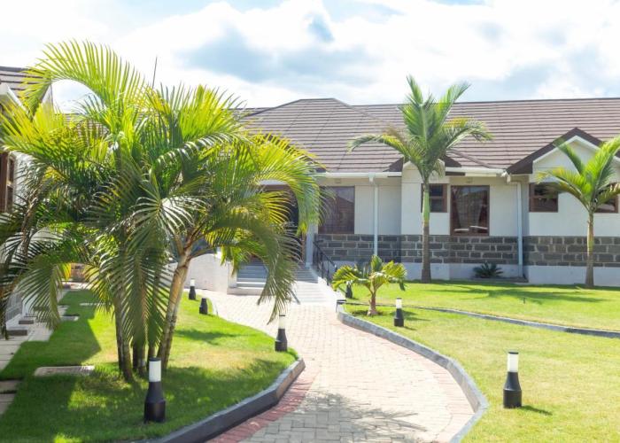 Rock Hyrax Hotel