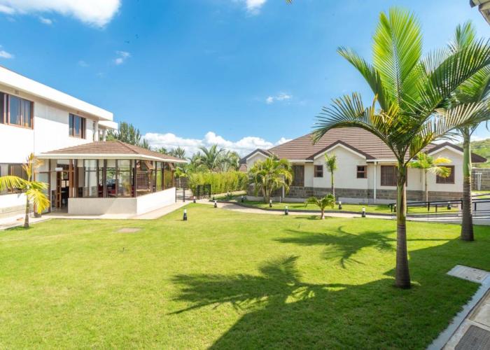 Rock Hyrax Hotel