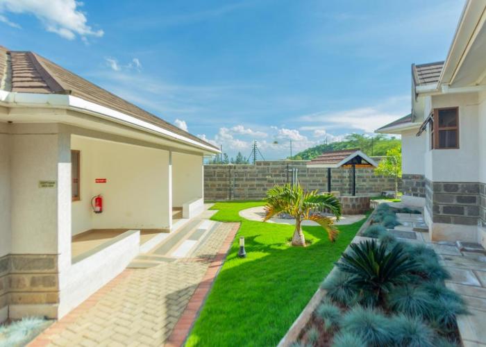 Rock Hyrax Hotel