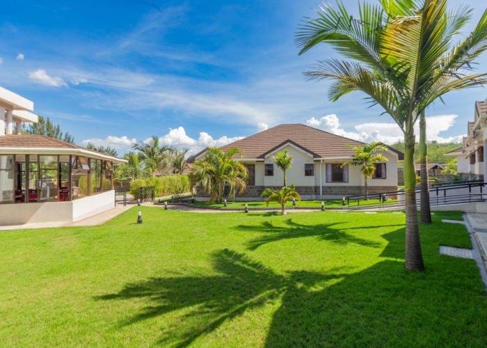 Rock Hyrax Hotel