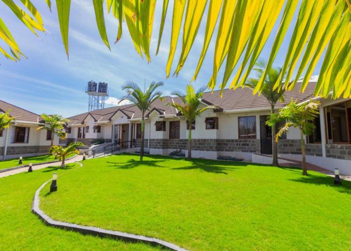 Rock Hyrax Hotel
