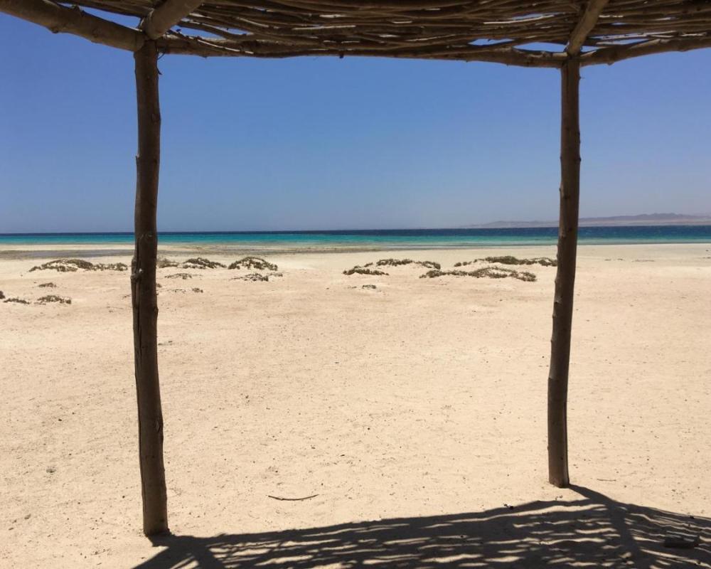 фото PortghalibFlat