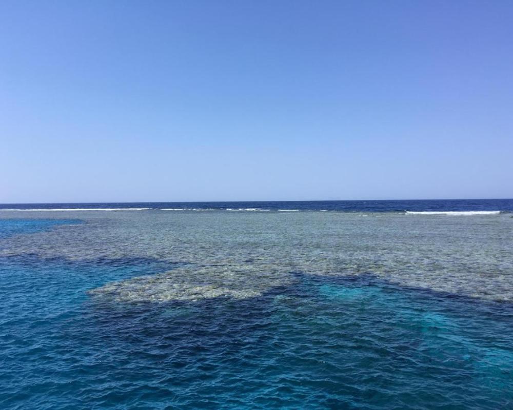 фото PortghalibFlat