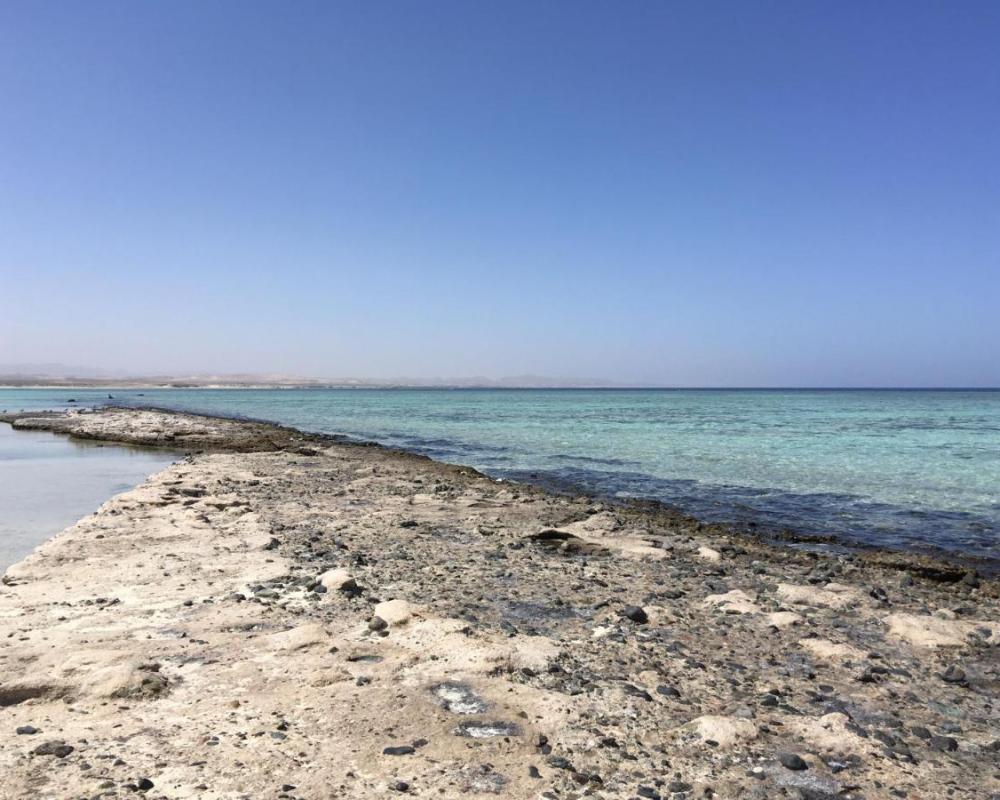 фото PortghalibFlat