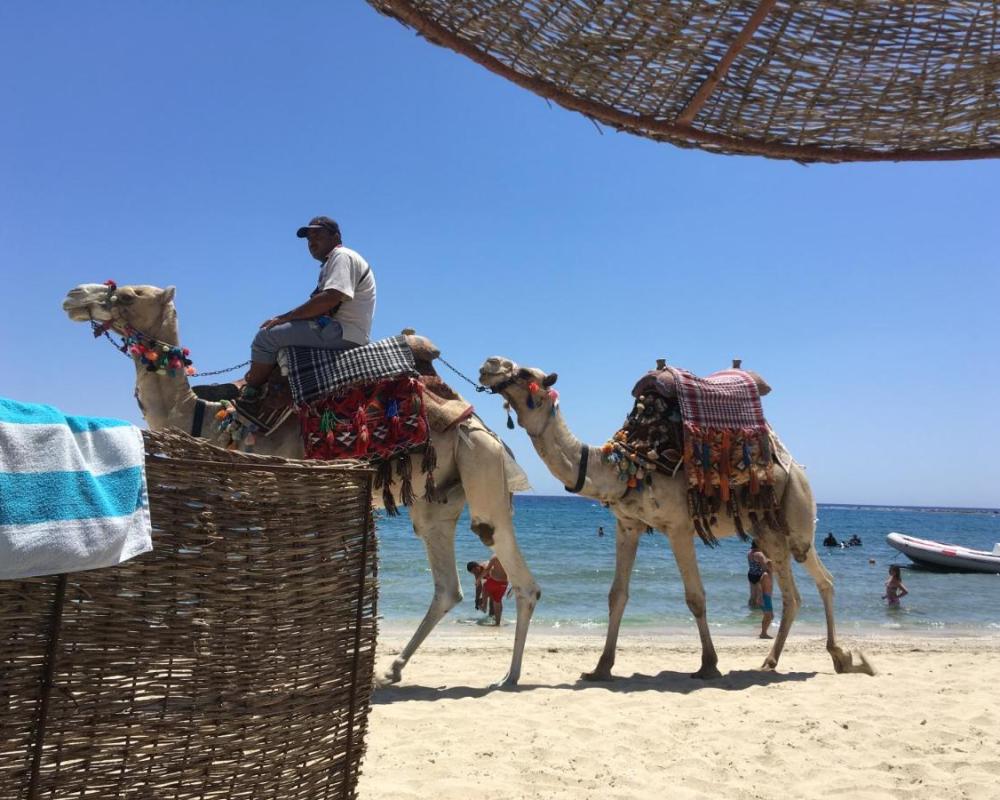 фото PortghalibFlat