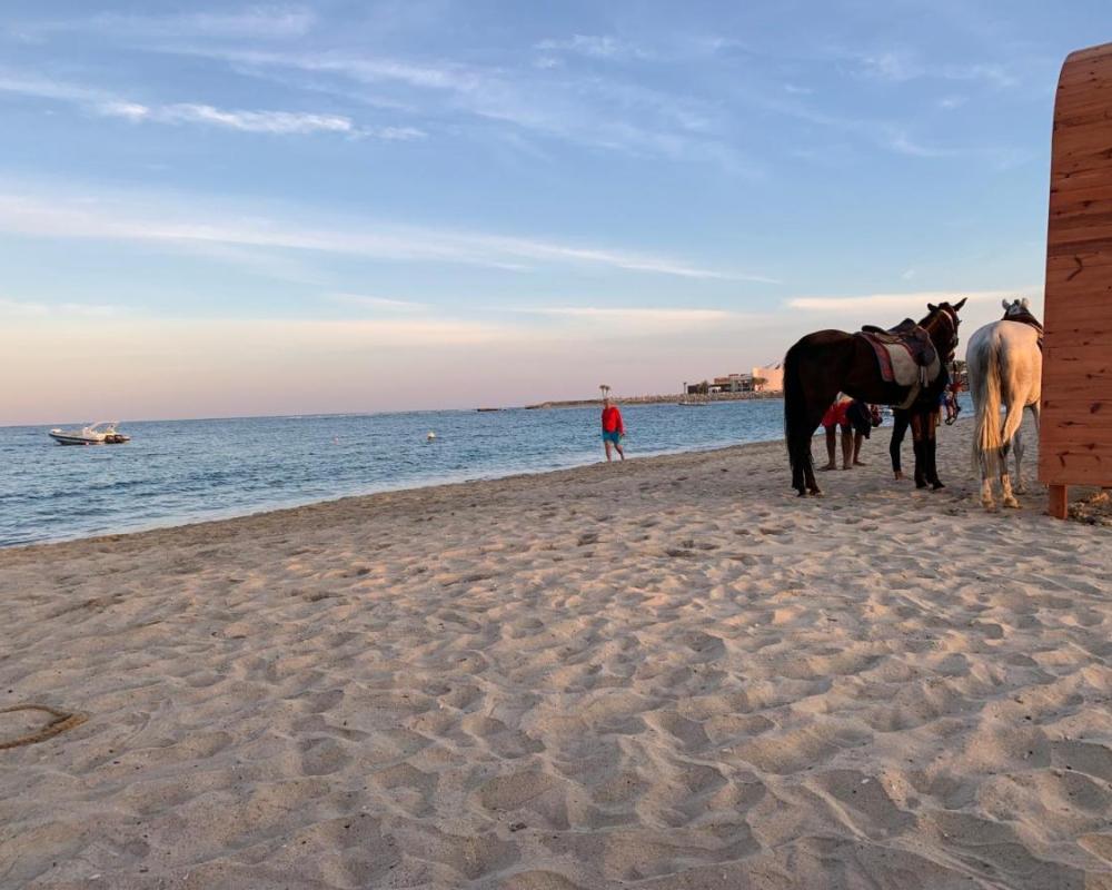 фото PortghalibFlat