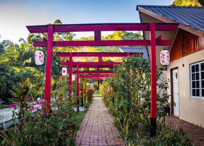 Timba Garden FREE TOWN AND JETTY TRANSPORT