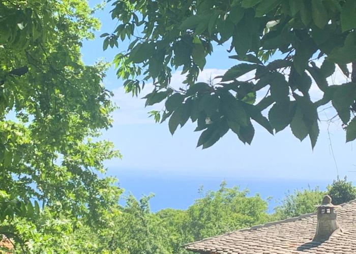 Pelion 7 Lives