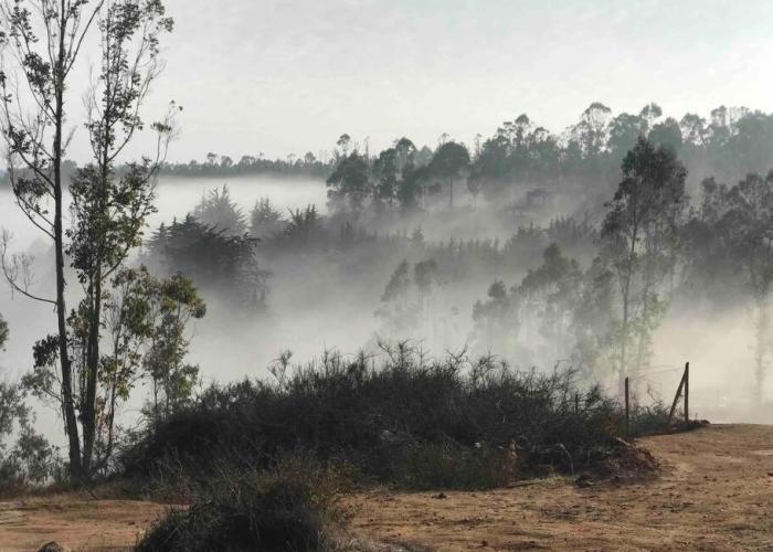 Cabaña Bosque at Tunquén
