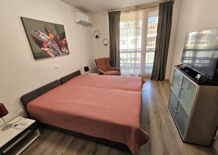 Cozy and Functional Business One-Bedroom Apartment