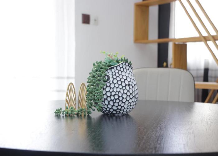 Apartment ROS’APPART