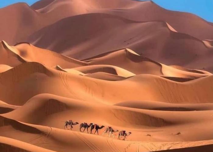 Excreción erg chegaga 2 jour départ zagora 4x4